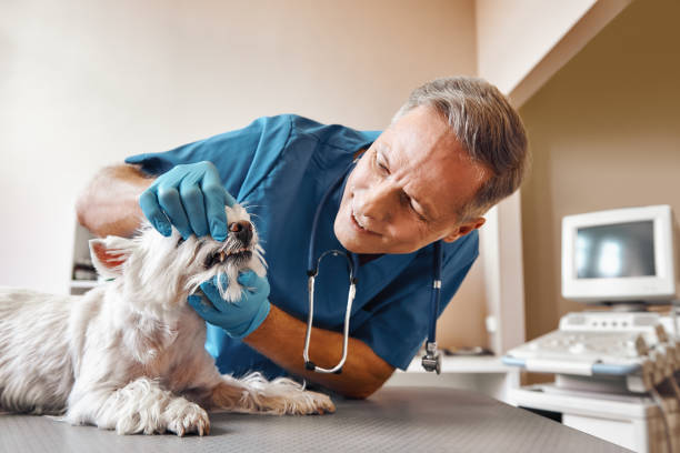 Best Emergency Treatment for Dental Infections or Abscesses in Blue Ash, OH